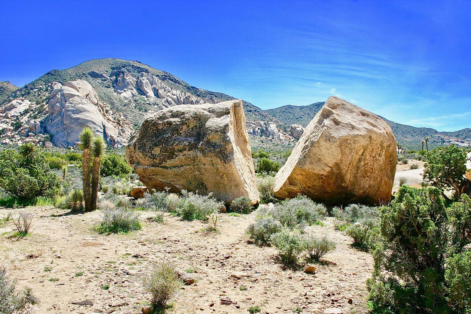 Una piedra partida por la mitad en un paisaje semi desierto